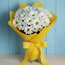 Букет цветов из:  Хризантемы в Ленинском