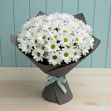 Букет цветов из:  Хризантемы #REPLACE_PRED# Ленинском