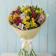 Букет цветов из:  Альстромерии в Ленинском