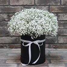 Цветочная композиция из Гипсофила в шляпной коробке #REPLACE_PRED# Ленинском